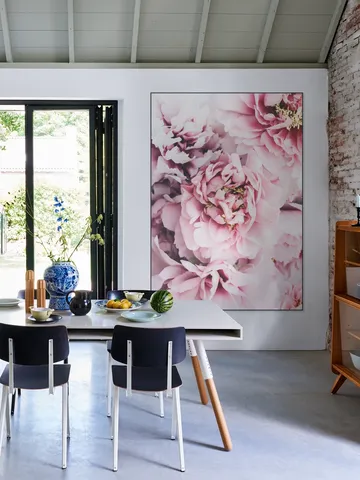 Pink Peonies Flowers