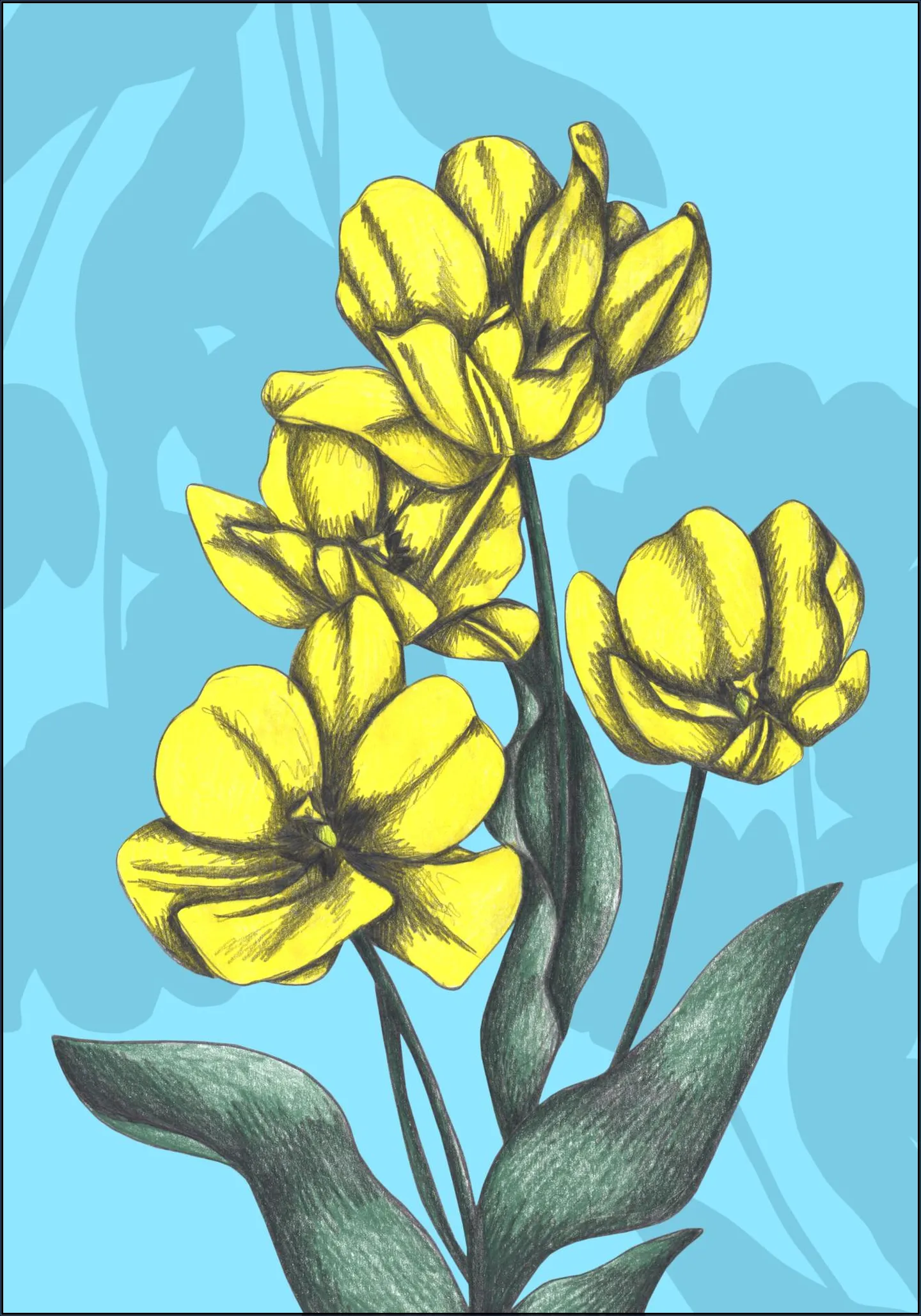 Yellow Tulips