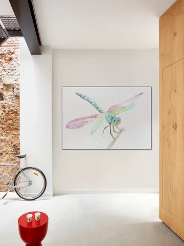 Dragonfly