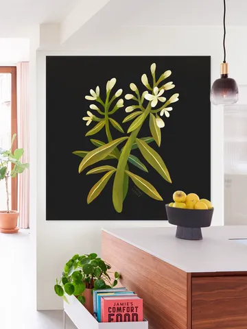 White Flower