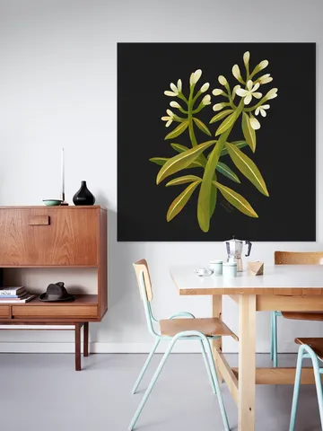 White Flower