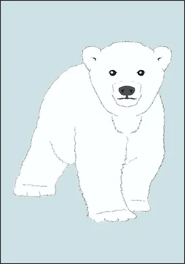 Baby Polar Bear