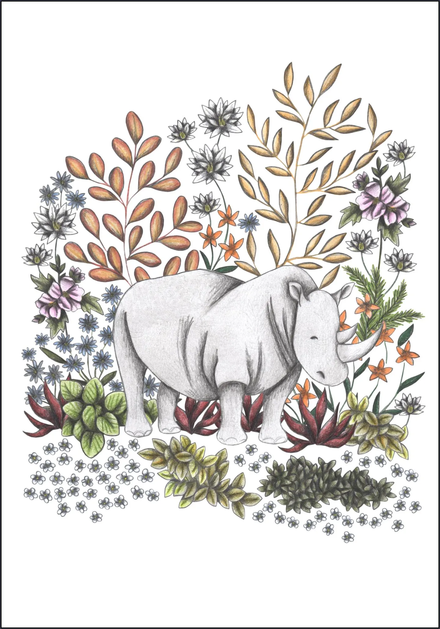 Safari Rhino