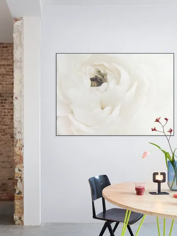 White Flower 02