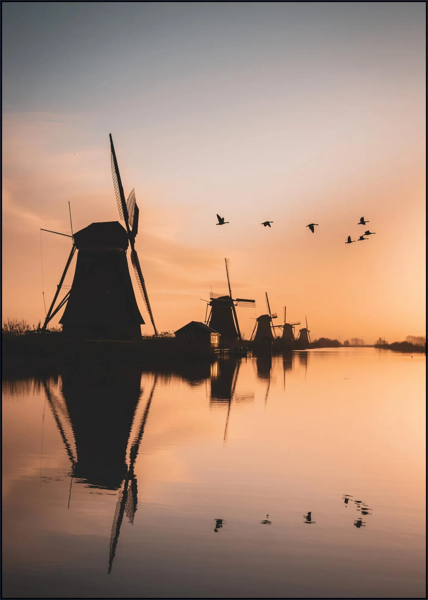 Geese Above Kinderdijk