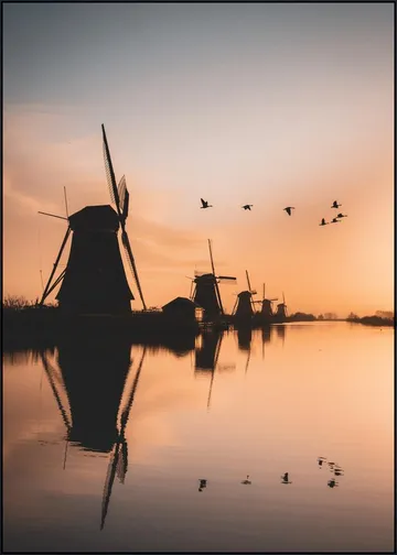 Gansen Boven Kinderdijk