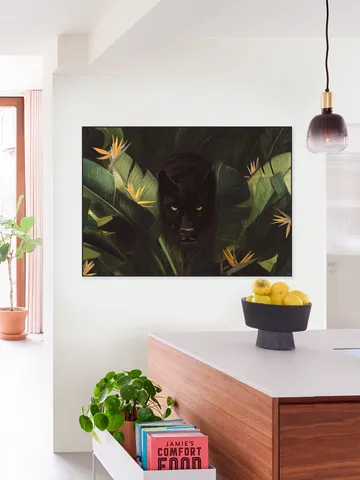 Hello Panther