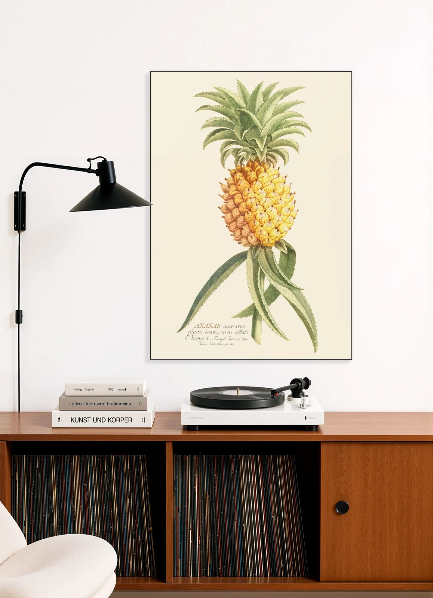 Ananas 2