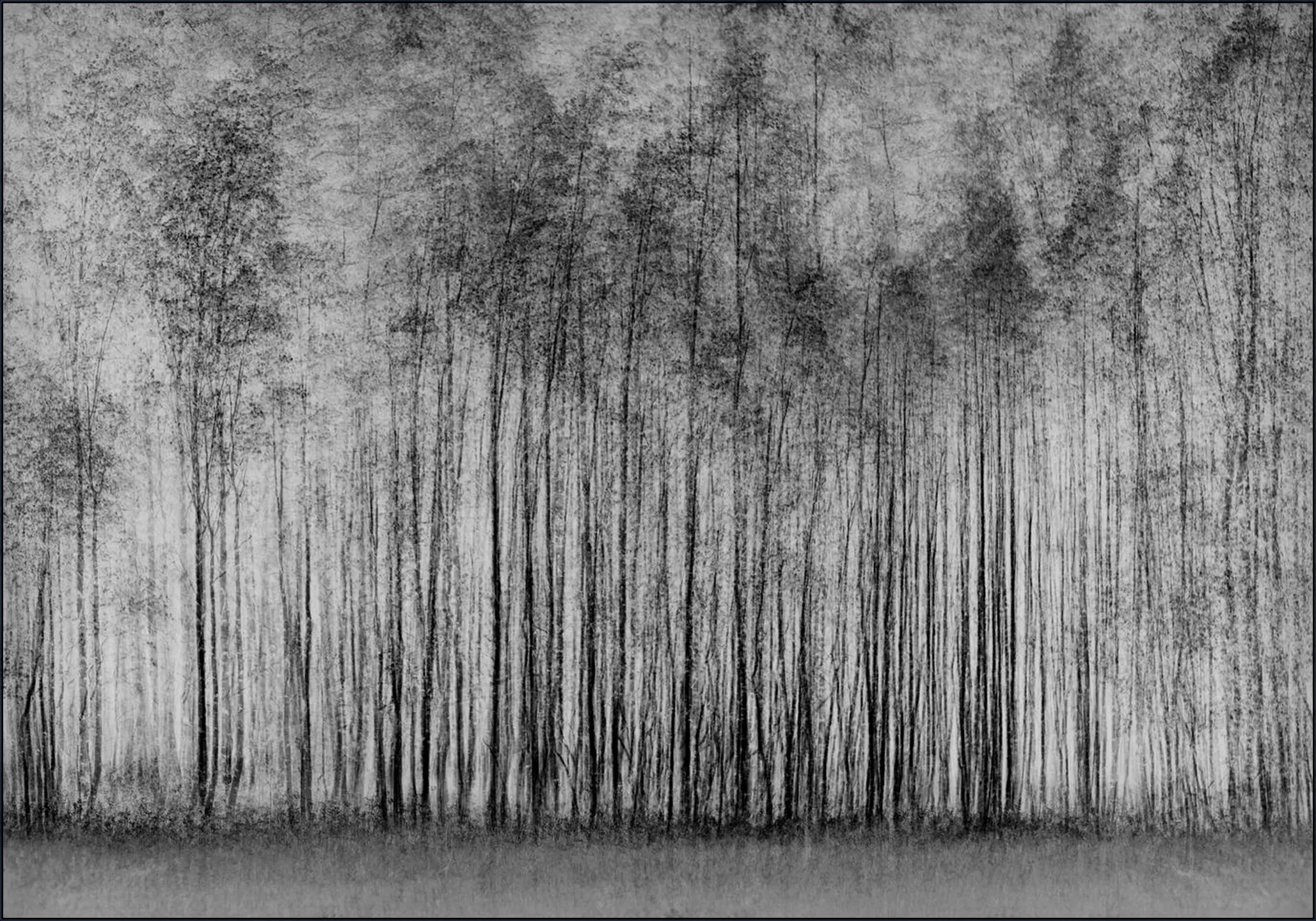 Impenetrable Forest