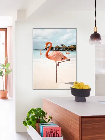 Flamingo Beach