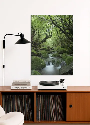 Mystical moss forest
