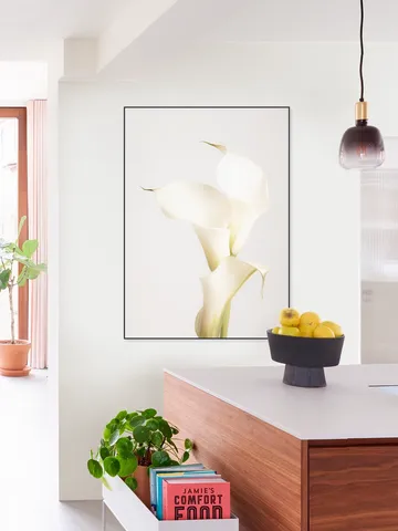 White Calla Lily No 3