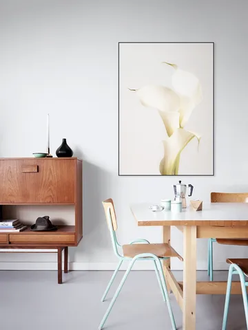 White Calla Lily No 3