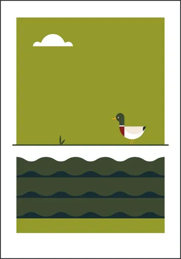 The Big 5 - duck