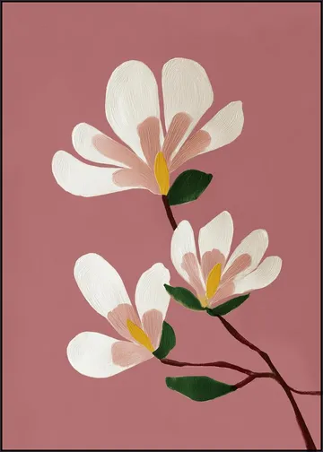 Pink Magnolia Flowers
