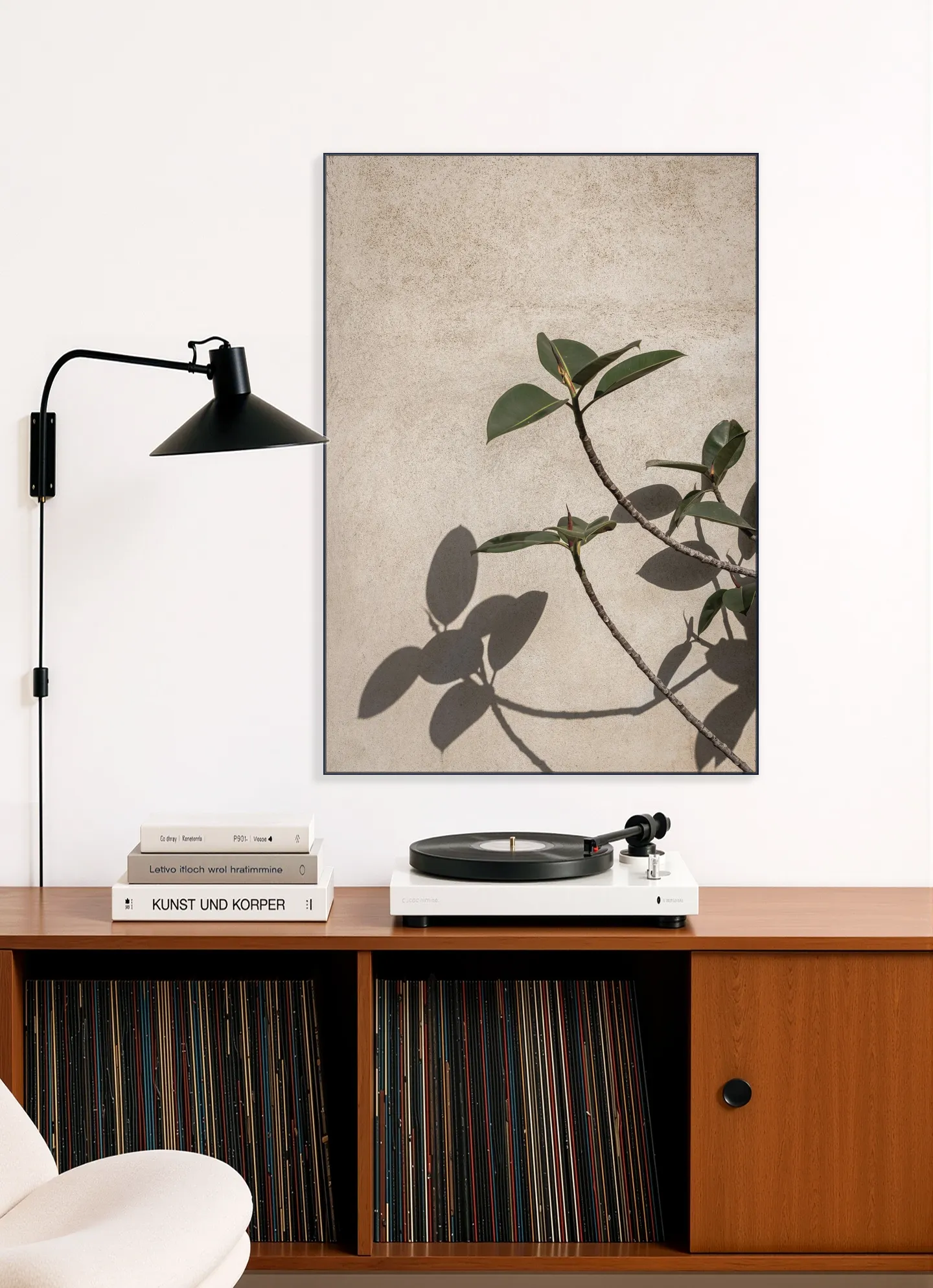 Shadow of Plant