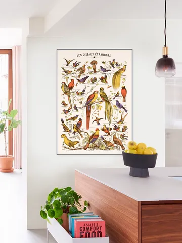 Les Oiseaux Etrangers