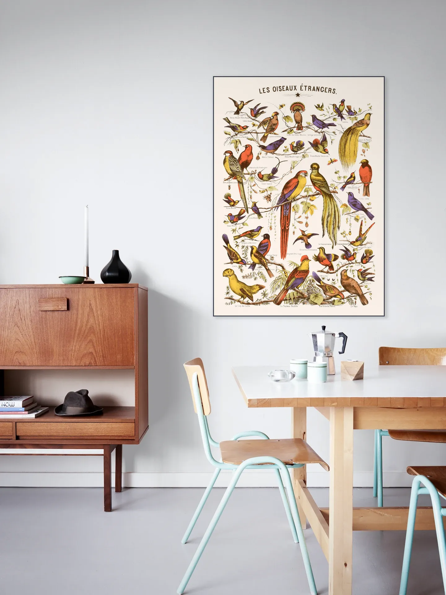 Les Oiseaux Etrangers