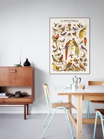 Les Oiseaux Etrangers