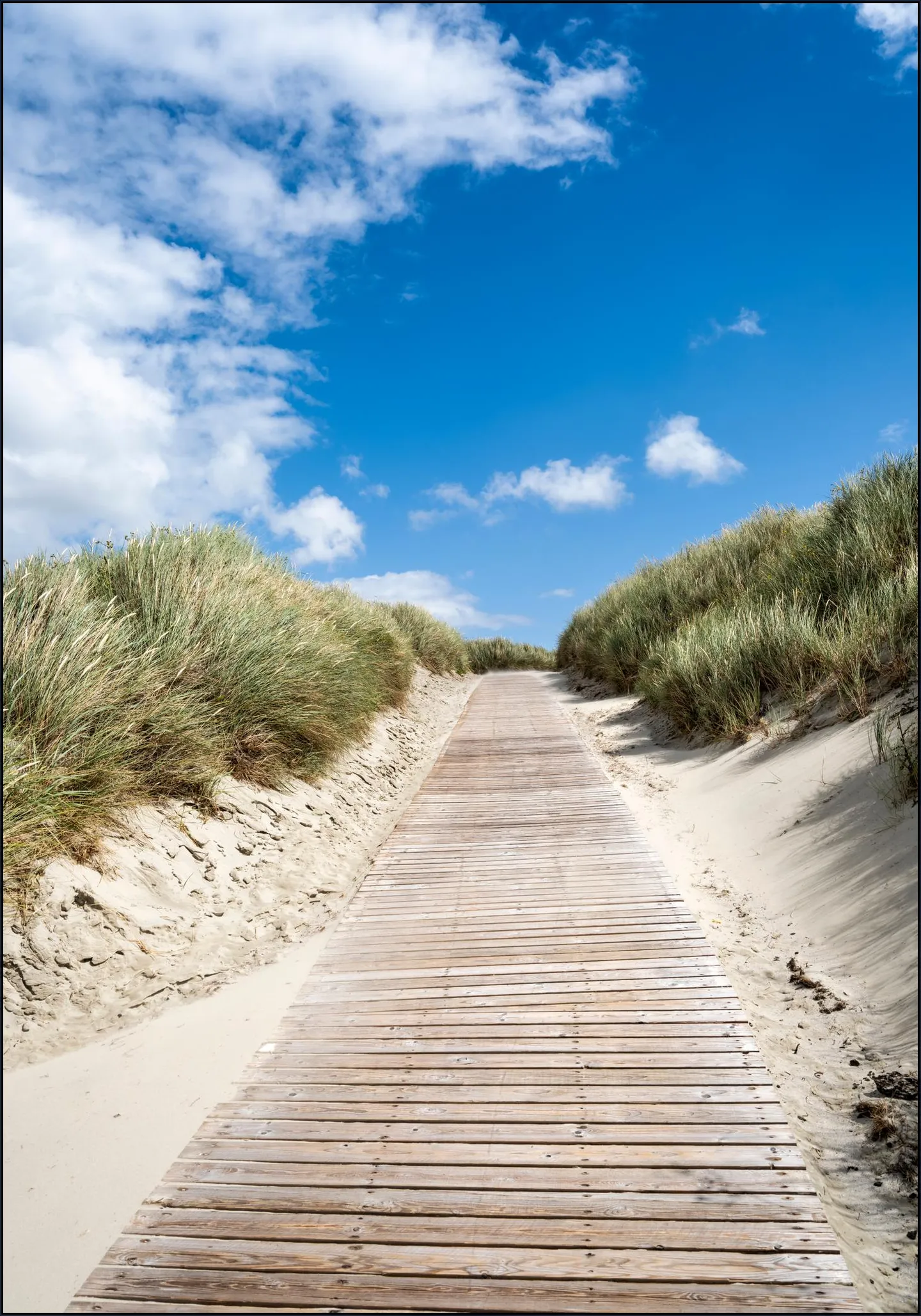 Path through the dunes