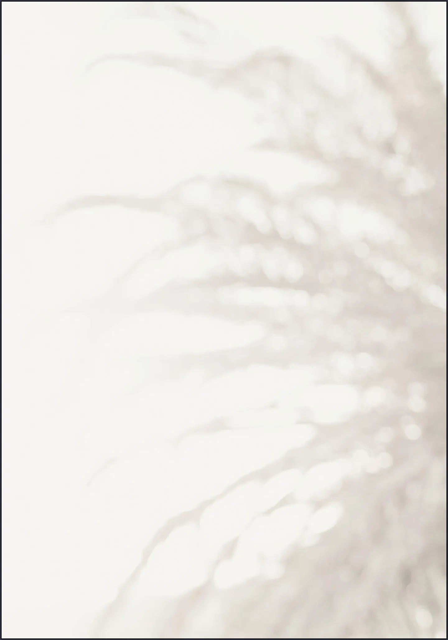 Palm 008