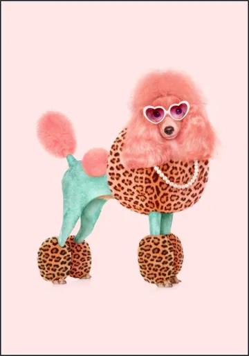 Funky Poodle