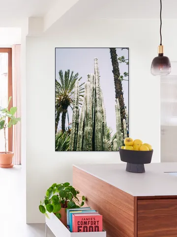 Palmeraie Cactus