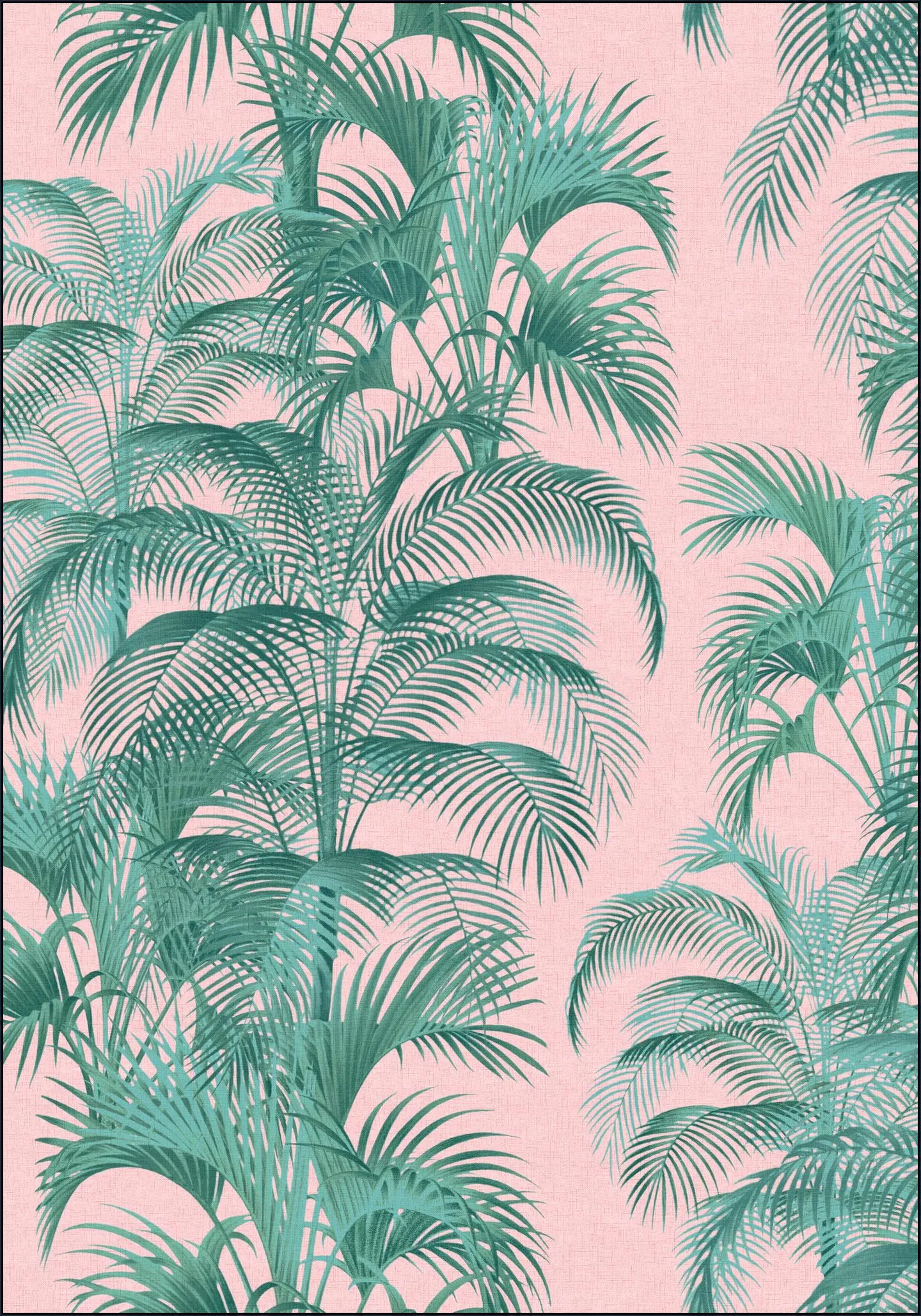 Tropical Palm Leaves - pink