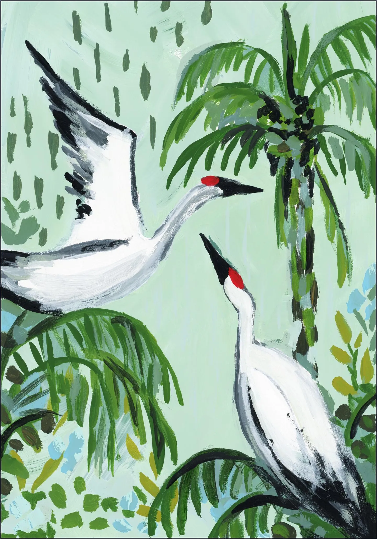 Tropical Cranes