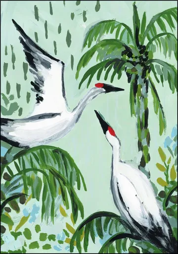 Tropical Cranes