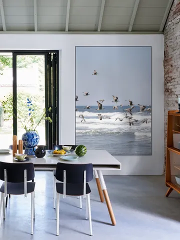 Birds and the Sea 2