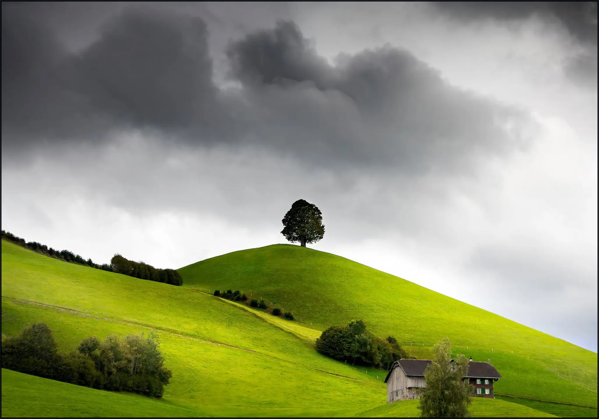 Swiss Green Hills