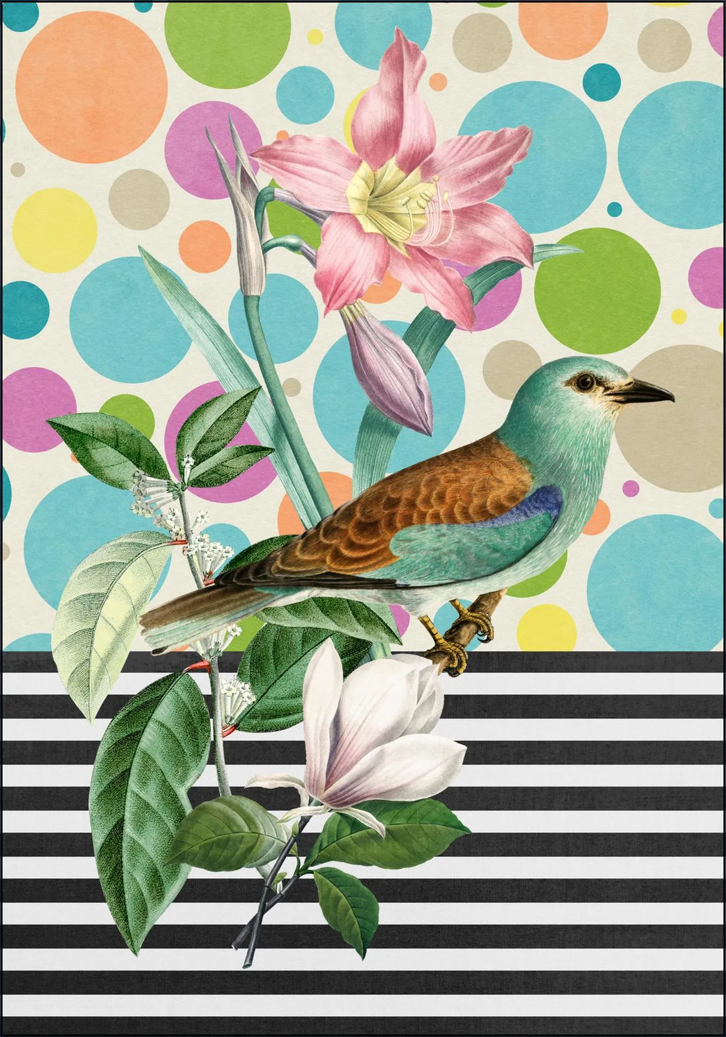 Sweet Spring Bird