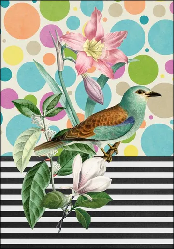 Sweet Spring Bird