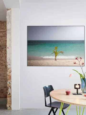 Lonely Palm On Quiet Tropical Beach