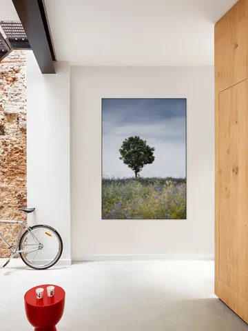 Summer Meadow