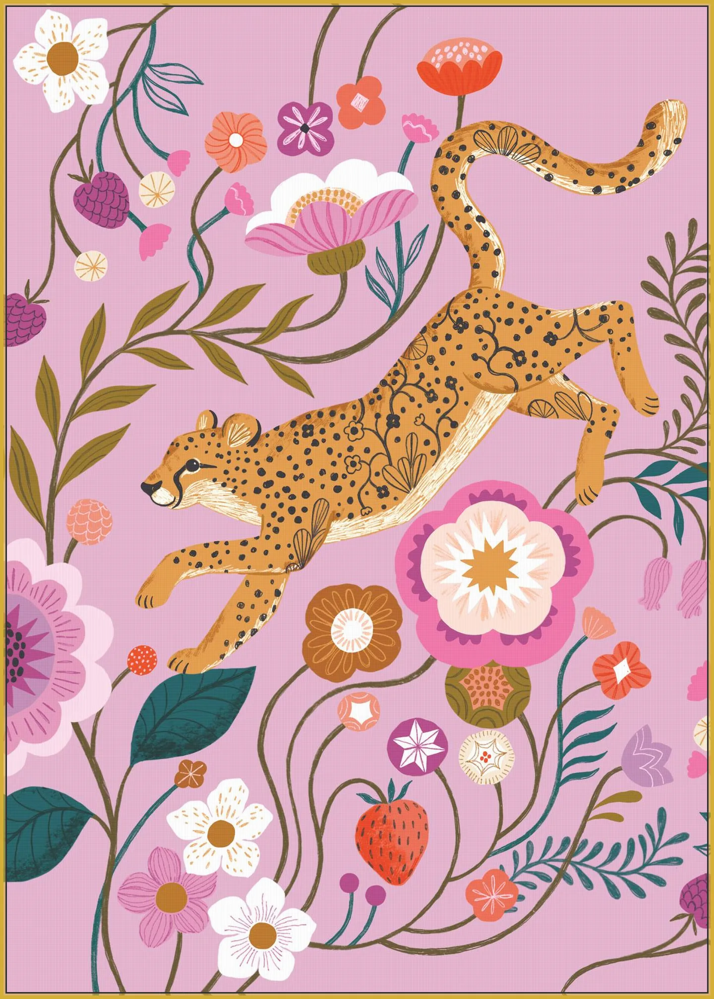 Cheetah