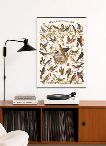 Nos bons Petits Oiseaux
