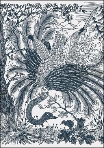 Ostrich
