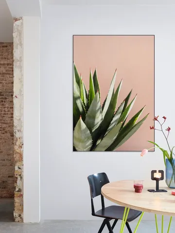 Green Plant Pink Wall