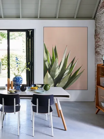 Green Plant Pink Wall