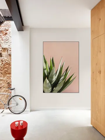 Green Plant Pink Wall