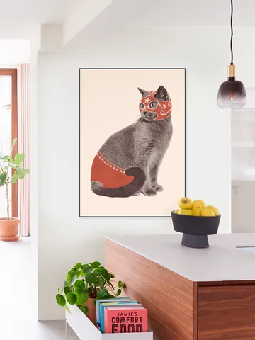 Chat Catcheur