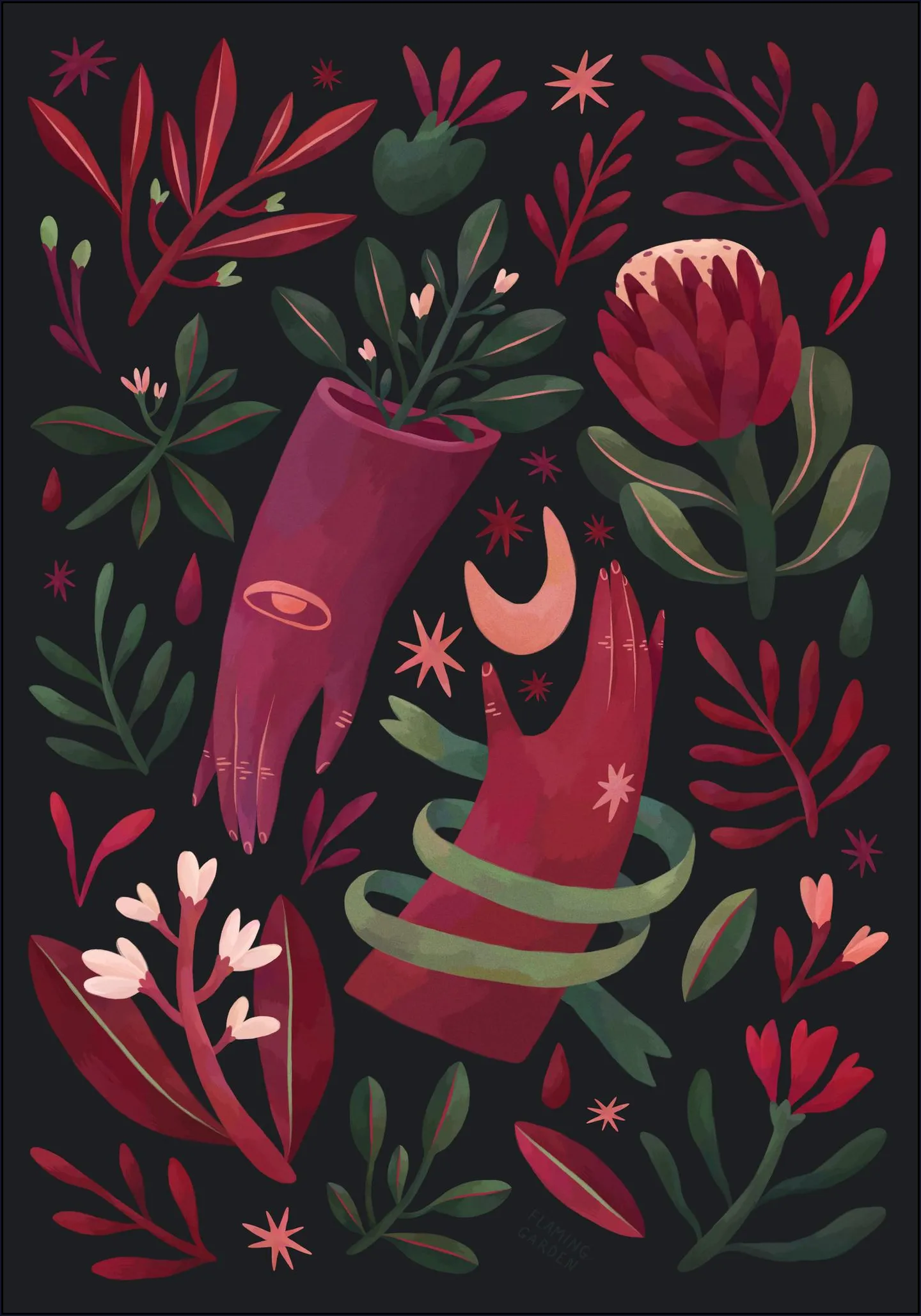 Midnight Blooming