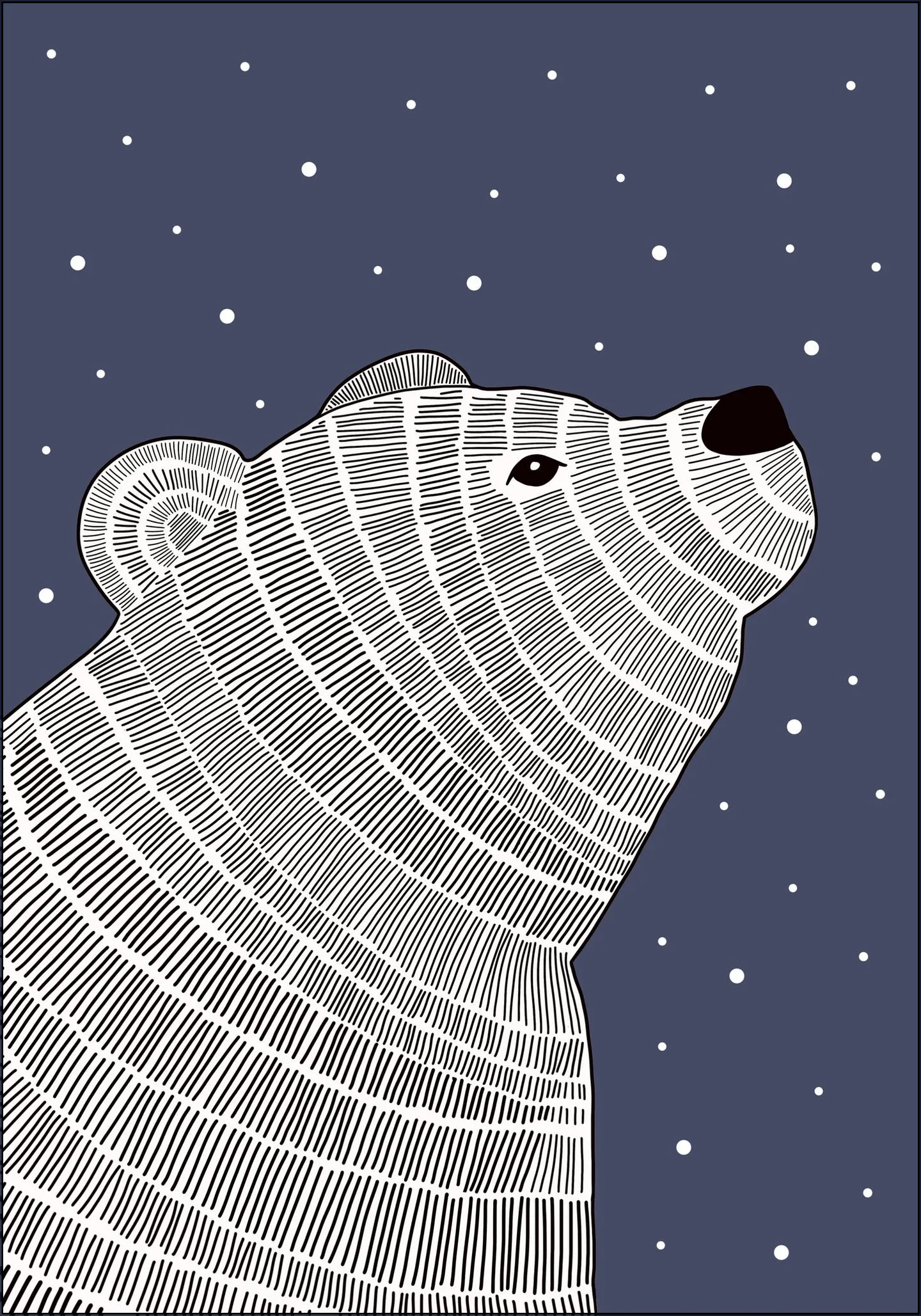 Bear and Stars