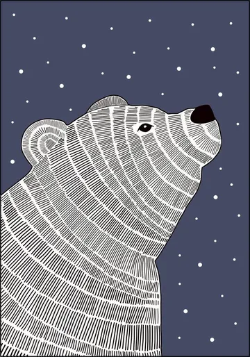 Bear and Stars