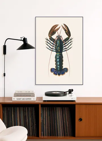 Homard