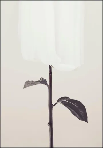 Whispered Elegance