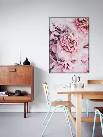 Pink Peonies Flowers