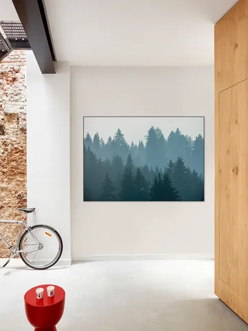 Mystical Forest